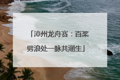 漳州龙舟赛：百桨劈浪处一脉共潮生