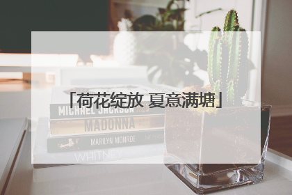 荷花绽放 夏意满塘