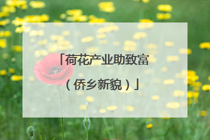 荷花产业助致富（侨乡新貌）