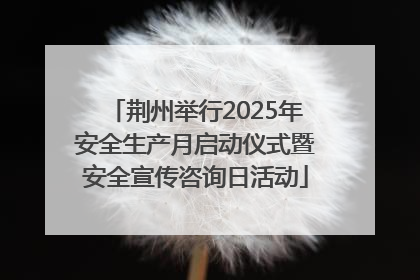 荆州举行2025年安全生产月启动仪式暨安全宣传咨询日活动