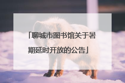 聊城市图书馆关于暑期延时开放的公告