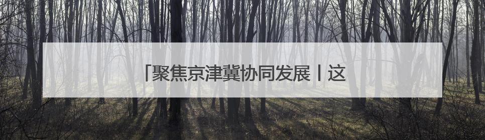 聚焦京津冀协同发展丨这家农批市场何以破圈发展