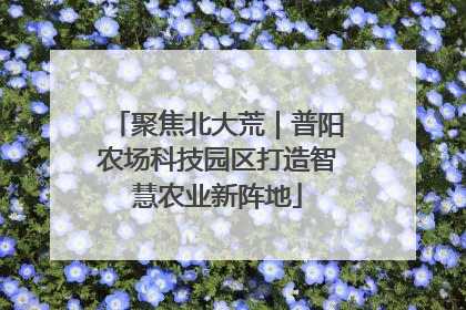 聚焦北大荒｜普阳农场科技园区打造智慧农业新阵地