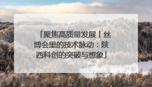 聚焦高质量发展丨丝博会里的技术脉动：陕西科创的突破与想象