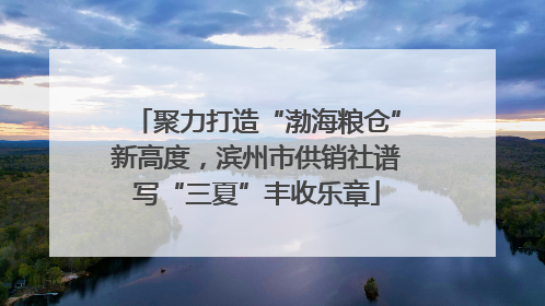 聚力打造“渤海粮仓”新高度，滨州市供销社谱写“三夏”丰收乐章
