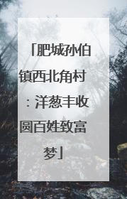 肥城孙伯镇西北角村：洋葱丰收圆百姓致富梦