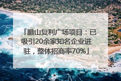 腊山复利广场项目：已吸引20余家知名企业进驻，整体招商率70%