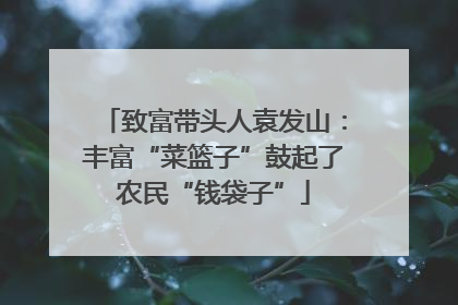 致富带头人袁发山：丰富“菜篮子”鼓起了农民“钱袋子”