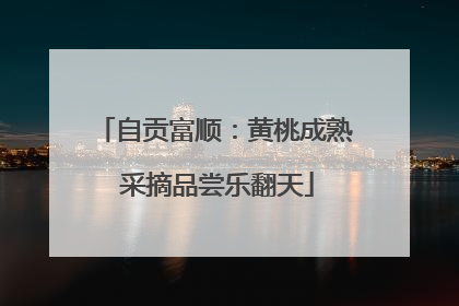 自贡富顺：黄桃成熟 采摘品尝乐翻天
