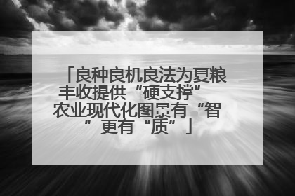 良种良机良法为夏粮丰收提供“硬支撑” 农业现代化图景有“智”更有“质”