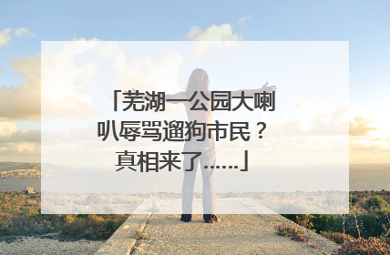 芜湖一公园大喇叭辱骂遛狗市民？真相来了……