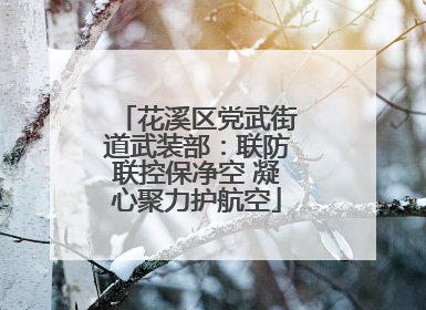 花溪区党武街道武装部：联防联控保净空 凝心聚力护航空