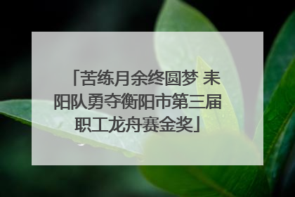苦练月余终圆梦 耒阳队勇夺衡阳市第三届职工龙舟赛金奖