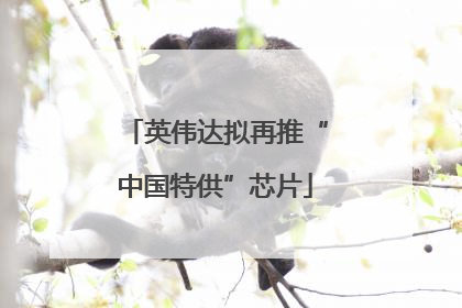 英伟达拟再推“中国特供”芯片