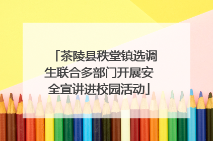 茶陵县秩堂镇选调生联合多部门开展安全宣讲进校园活动