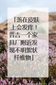 落在皮肤上会发痒！普吉一个家具厂附近发现不明絮状纤维物
