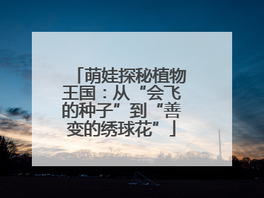 萌娃探秘植物王国：从“会飞的种子”到“善变的绣球花”