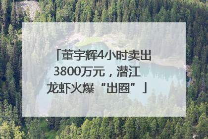 董宇辉4小时卖出3800万元，潜江龙虾火爆“出圈”