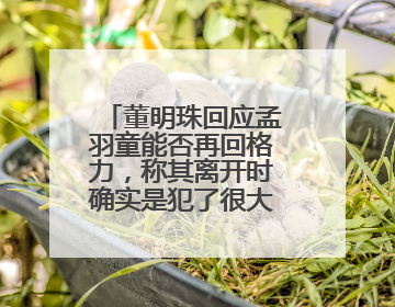 董明珠回应孟羽童能否再回格力，称其离开时确实是犯了很大的错：她对我来说是孩子