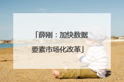 薛刚：加快数据要素市场化改革