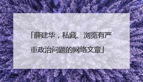 薛建华，私藏、浏览有严重政治问题的网络文章