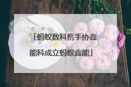 蚂蚁数科携手协鑫能科成立蚂蚁鑫能