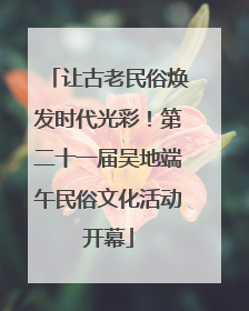 让古老民俗焕发时代光彩！第二十一届吴地端午民俗文化活动开幕
