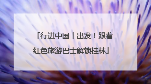 行进中国丨出发！跟着红色旅游巴士解锁桂林