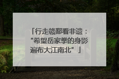 行走赣鄱看非遗：“希望岳家拳的身影遍布大江南北”