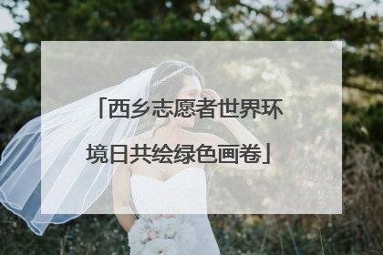 西乡志愿者世界环境日共绘绿色画卷