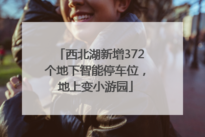 西北湖新增372个地下智能停车位，地上变小游园
