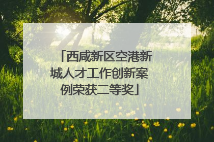西咸新区空港新城人才工作创新案例荣获二等奖