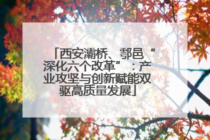 西安灞桥、鄠邑“深化六个改革”：产业攻坚与创新赋能双驱高质量发展