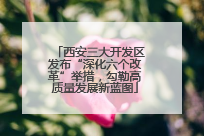 西安三大开发区发布“深化六个改革”举措，勾勒高质量发展新蓝图
