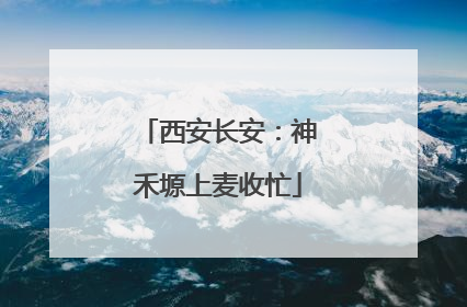 西安长安：神禾塬上麦收忙