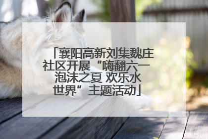 襄阳高新刘集魏庄社区开展“嗨翻六一 泡沫之夏 欢乐水世界”主题活动