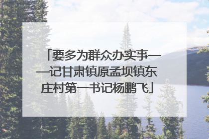 要多为群众办实事——记甘肃镇原孟坝镇东庄村第一书记杨鹏飞
