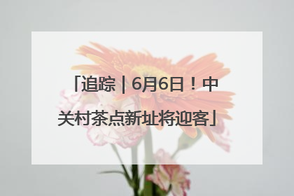 追踪｜6月6日！中关村茶点新址将迎客