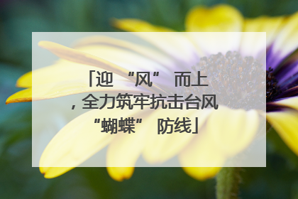 迎 “风” 而上，全力筑牢抗击台风 “蝴蝶” 防线