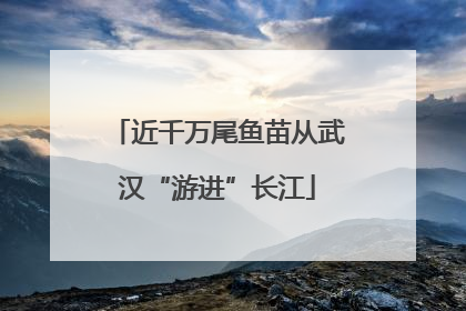 近千万尾鱼苗从武汉“游进”长江