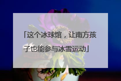 这个冰球馆，让南方孩子也能参与冰雪运动