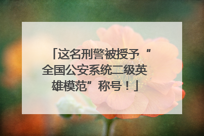 这名刑警被授予“全国公安系统二级英雄模范”称号！