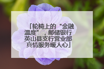 轮椅上的“金融温度”，邮储银行英山县支行营业部真情服务暖人心
