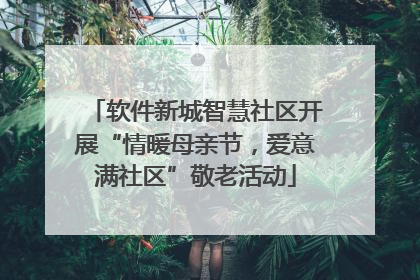 软件新城智慧社区开展“情暖母亲节，爱意满社区”敬老活动