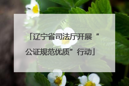 辽宁省司法厅开展“公证规范优质”行动