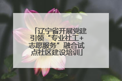 辽宁省开展党建引领“专业社工+志愿服务”融合试点社区建设培训