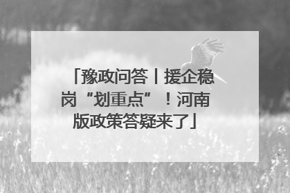 豫政问答丨援企稳岗“划重点”！河南版政策答疑来了