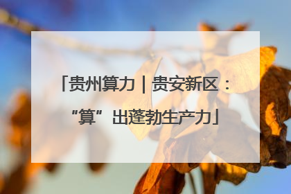 贵州算力｜贵安新区：“算”出蓬勃生产力
