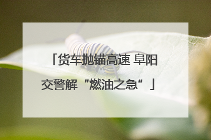 货车抛锚高速 阜阳交警解“燃油之急”