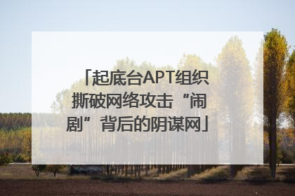起底台APT组织 撕破网络攻击“闹剧”背后的阴谋网